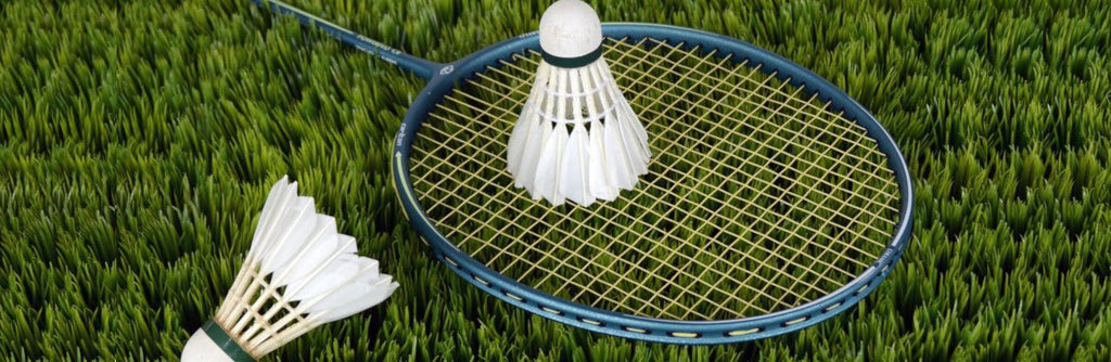 Badminton - Gotto Sports Belfast
